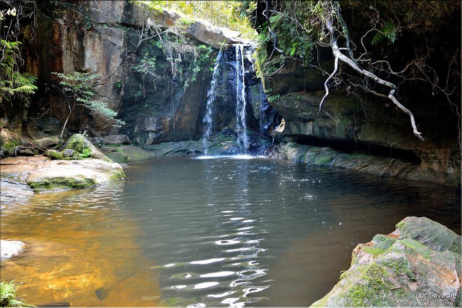 Le Parc National d'Isalo est composé de grès, résultant d'anciens fond marins, qui remontent au jurassique. (104)
