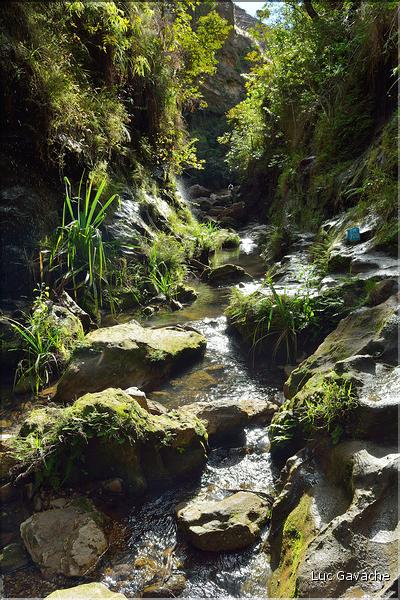 Le Parc National d'Isalo est composé de grès, résultant d'anciens fond marins, qui remontent au jurassique. (105)