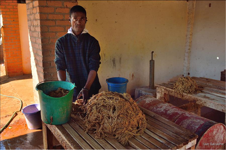 La ville d'Ambalavao est renommée pour ses fabriques de papier traditionnel... (1)