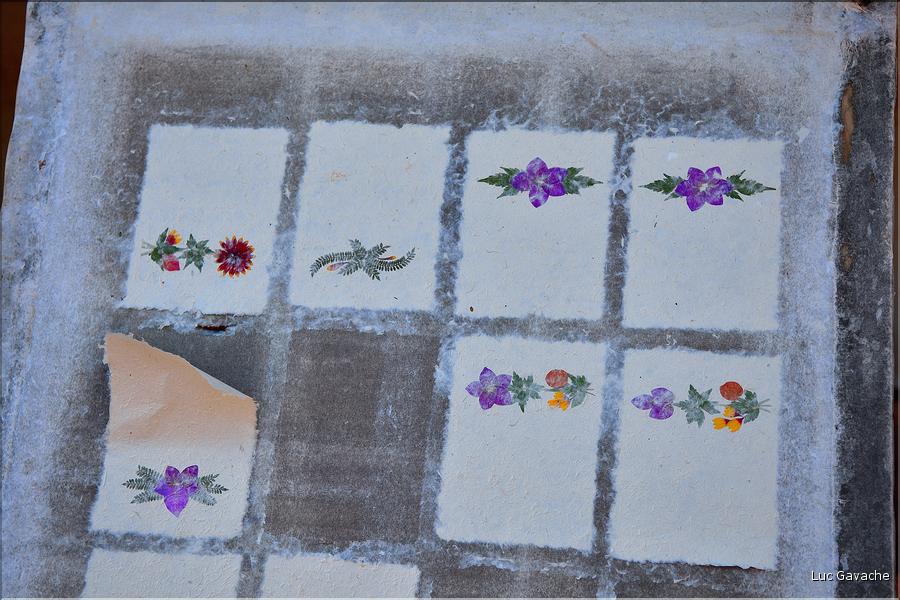 La ville d'Ambalavao est renommée pour ses fabriques de papier traditionnel... (7)