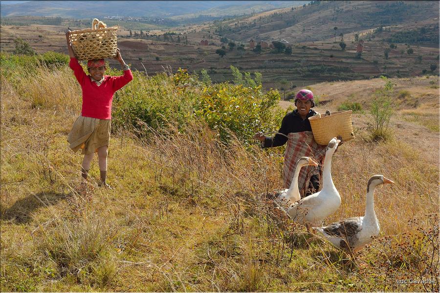 Sur la route entre Fianarantsoa et Ambositra se succèdent les villages des hautes terres.  (31)