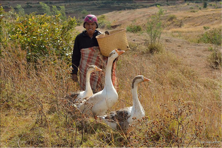 Sur la route entre Fianarantsoa et Ambositra se succèdent les villages des hautes terres.  (32)