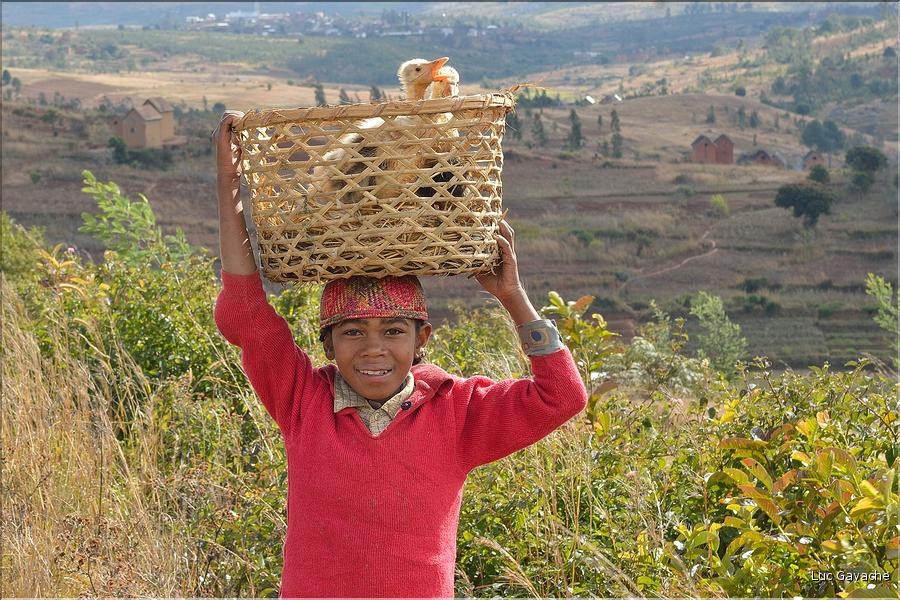 Sur la route entre Fianarantsoa et Ambositra se succèdent les villages des hautes terres.  (33)