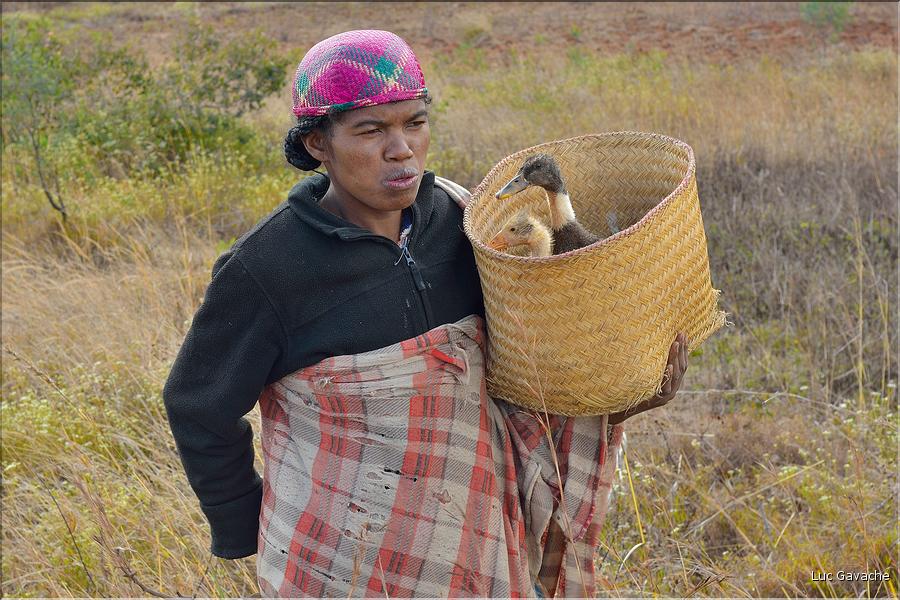 Sur la route entre Fianarantsoa et Ambositra se succèdent les villages des hautes terres.  (34)