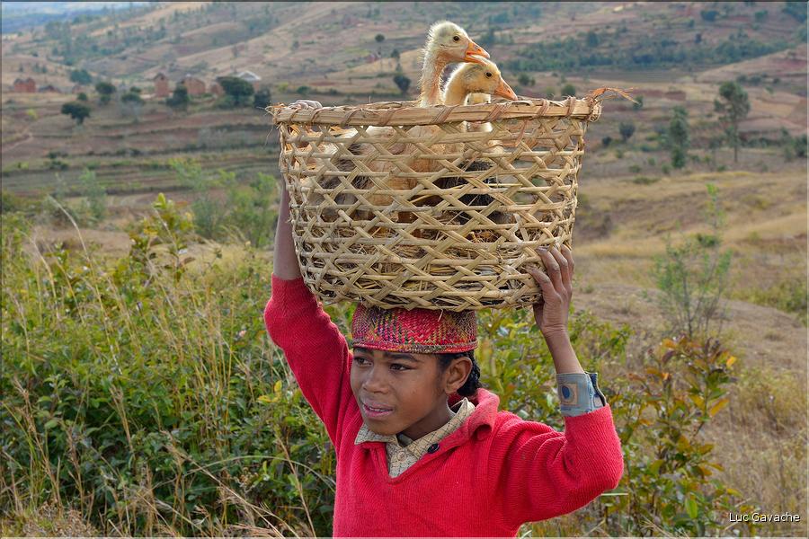 Sur la route entre Fianarantsoa et Ambositra se succèdent les villages des hautes terres.  (35)