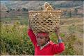 Sur la route entre Fianarantsoa et Ambositra se succèdent les villages des hautes terres.  (35)