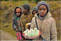 Sur la route entre Fianarantsoa et Ambositra se succèdent les villages des hautes terres.  (37)