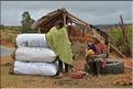 Vendeur de charbon de bois sur la route entre Ambositra et Antsirabe. (2)