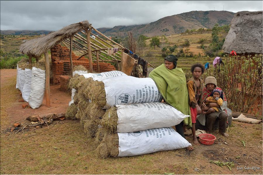 Vendeur de charbon de bois sur la route entre Ambositra et Antsirabe. (3)
