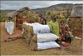 Vendeur de charbon de bois sur la route entre Ambositra et Antsirabe. (3)