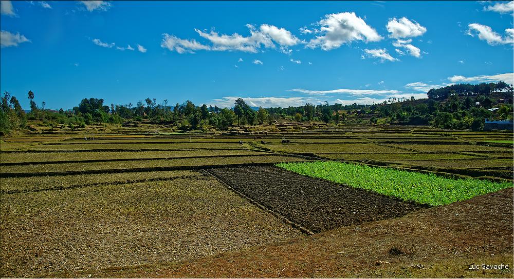 Scènes de vie et paysages sur la route entre Antsirabe et Antananarivo (2)