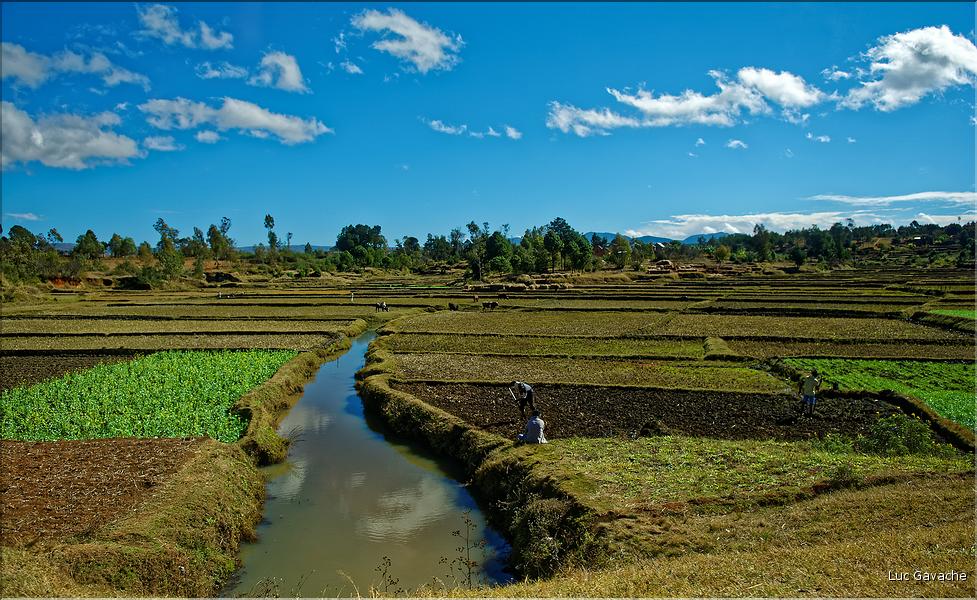 Scènes de vie et paysages sur la route entre Antsirabe et Antananarivo (3)