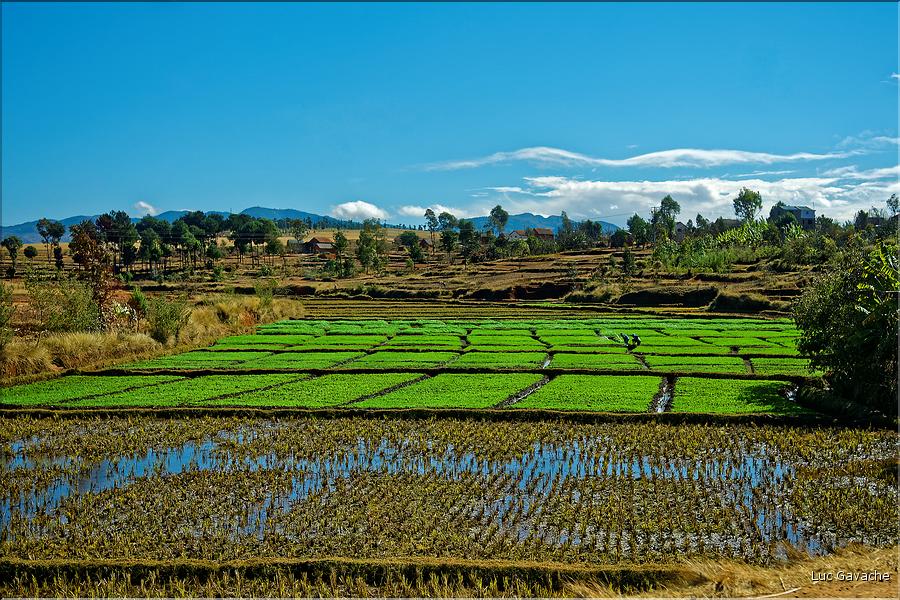 Scènes de vie et paysages sur la route entre Antsirabe et Antananarivo (4)