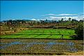Scènes de vie et paysages sur la route entre Antsirabe et Antananarivo (4)