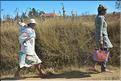 Scènes de vie et paysages sur la route entre Antsirabe et Antananarivo (7)