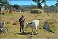 Scènes de vie et paysages sur la route entre Antsirabe et Antananarivo (8)