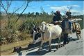 Scènes de vie et paysages sur la route entre Antsirabe et Antananarivo (9)