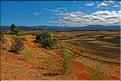 Scènes de vie et paysages sur la route entre Antsirabe et Antananarivo (13)