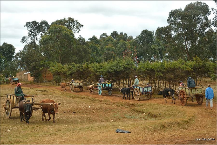 Scènes de vie et paysages sur la route entre Antsirabe et Antananarivo (22)