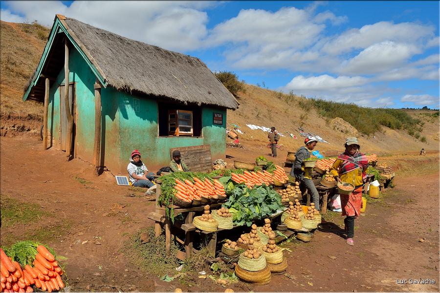 La richesse des terres entre Antsirabe et Antananarivo concentre d'importantes cultures maraîchères. (2)