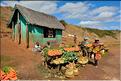 La richesse des terres entre Antsirabe et Antananarivo concentre d'importantes cultures maraîchères. (2)