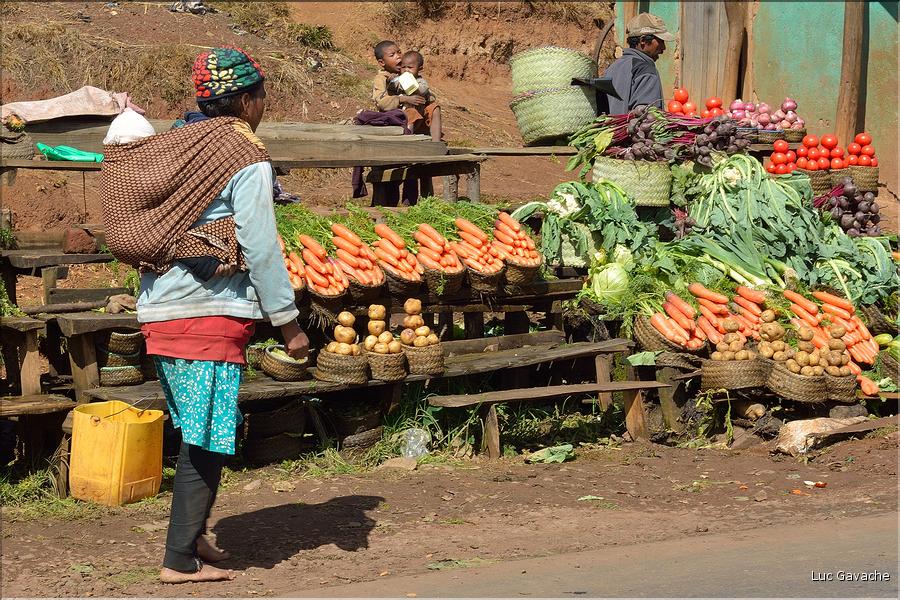 La richesse des terres entre Antsirabe et Antananarivo concentre d'importantes cultures maraîchères. (13)