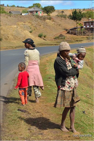 La richesse des terres entre Antsirabe et Antananarivo concentre d'importantes cultures maraîchères. (14)