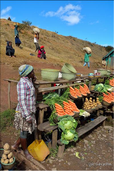 La richesse des terres entre Antsirabe et Antananarivo concentre d'importantes cultures maraîchères. (17)