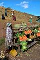La richesse des terres entre Antsirabe et Antananarivo concentre d'importantes cultures maraîchères. (17)