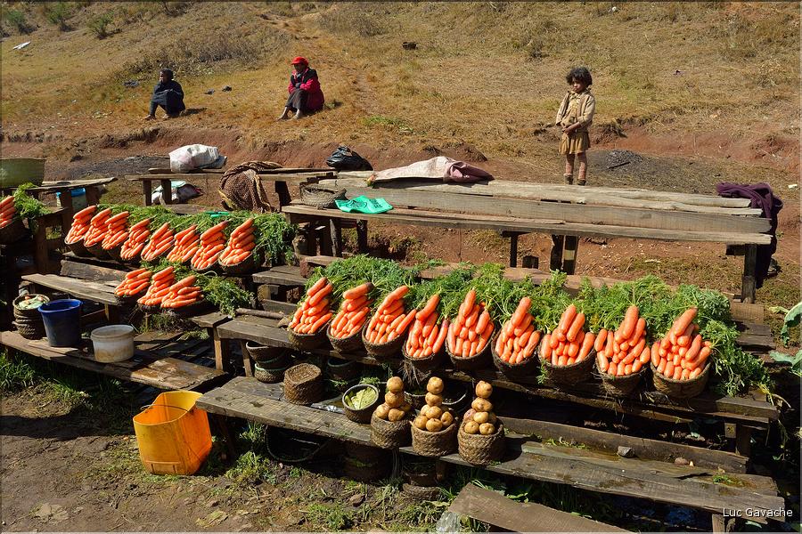 La richesse des terres entre Antsirabe et Antananarivo concentre d'importantes cultures maraîchères. (18)