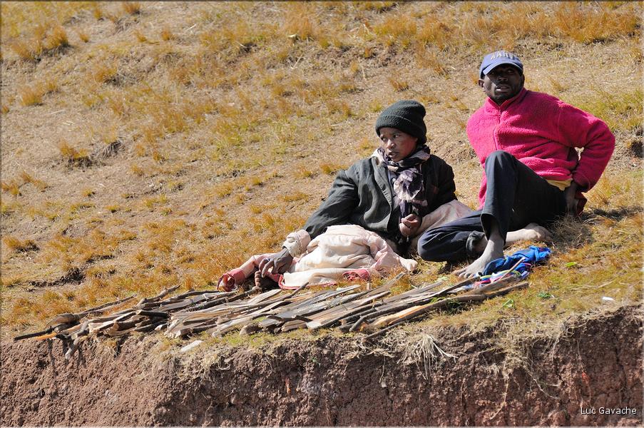 La richesse des terres entre Antsirabe et Antananarivo concentre d'importantes cultures maraîchères. (19)