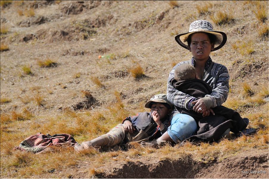 La richesse des terres entre Antsirabe et Antananarivo concentre d'importantes cultures maraîchères. (20)