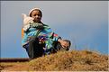 La richesse des terres entre Antsirabe et Antananarivo concentre d'importantes cultures maraîchères. (22)