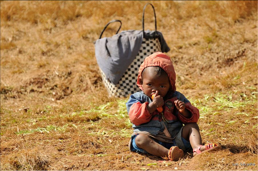 La richesse des terres entre Antsirabe et Antananarivo concentre d'importantes cultures maraîchères. (23)