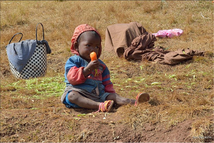 La richesse des terres entre Antsirabe et Antananarivo concentre d'importantes cultures maraîchères. (25)