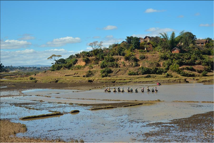 Sur la route entre Antananarivo et le lémur's park. (2)
