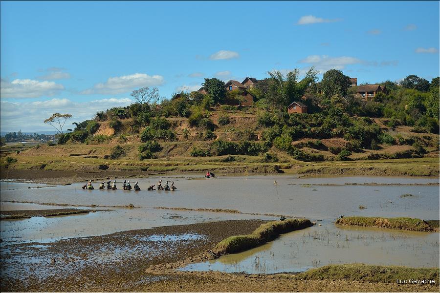 Sur la route entre Antananarivo et le lémur's park. (3)