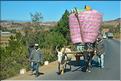 Sur la route entre Antananarivo et le lémur's park. (4)