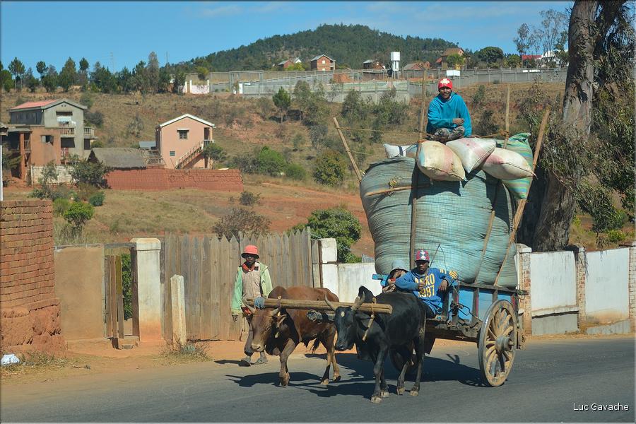Sur la route entre Antananarivo et le lémur's park. (5)