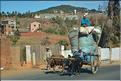 Sur la route entre Antananarivo et le lémur's park. (5)