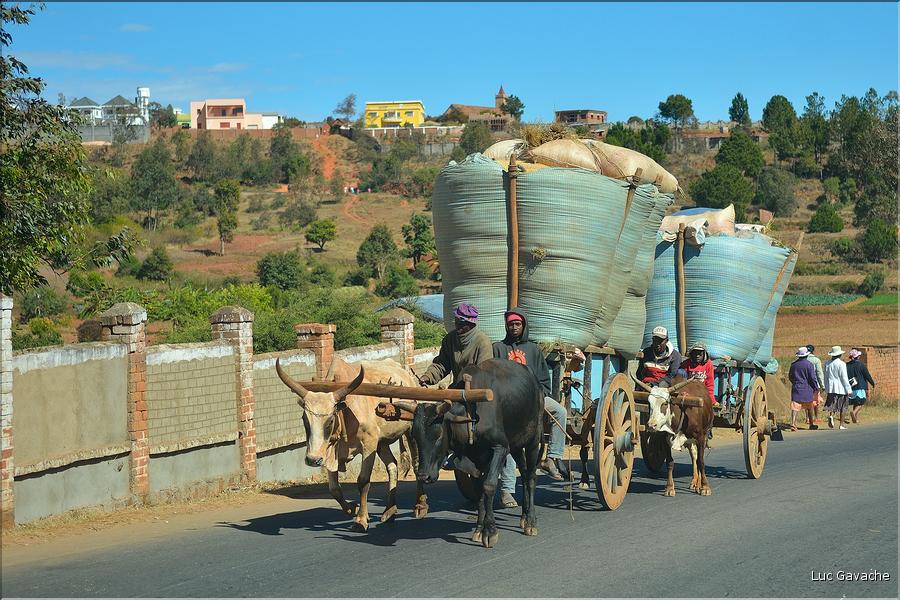 Sur la route entre Antananarivo et le lémur's park. (6)