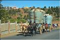 Sur la route entre Antananarivo et le lémur's park. (6)