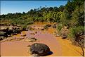 Sur la route entre Antananarivo et le lémur's park. (10)
