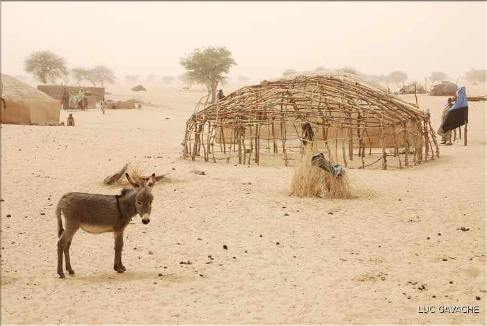 Village d'Haman Kora habité par les Songho