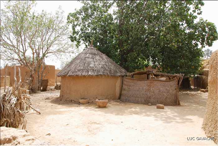 Case traditionelle dans le village de Diafarabé