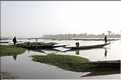 Pinasses sur le fleuve Bani, affluent du fleuve Niger (4)