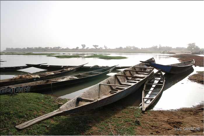 Pinasses sur le fleuve Bani, affluent du fleuve Niger (10)