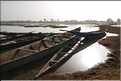 Pinasses sur le fleuve Bani, affluent du fleuve Niger (11)