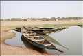 Pinasses sur le fleuve Bani, affluent du fleuve Niger (16)