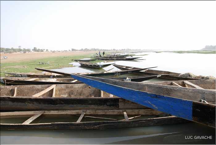 Pinasses sur le fleuve Bani, affluent du fleuve Niger (18)